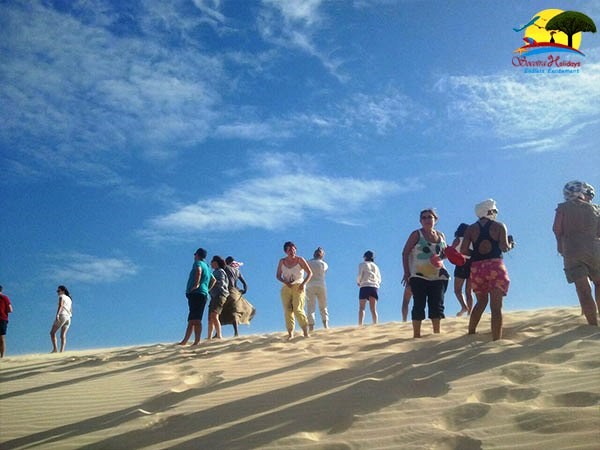 groups tours in zaheq dunes