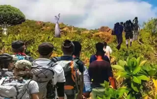 Socotra Island trekking tours